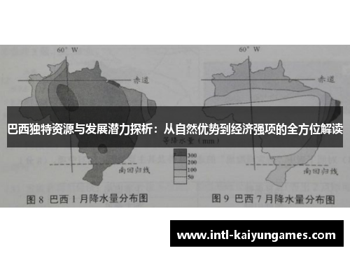 巴西独特资源与发展潜力探析：从自然优势到经济强项的全方位解读