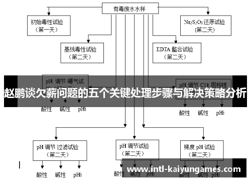 赵鹏谈欠薪问题的五个关键处理步骤与解决策略分析 赵鹏谈欠薪问题的五个关键处理步骤与解决策略分析
